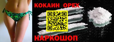 крисы Гусев