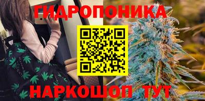 крисы Гусев