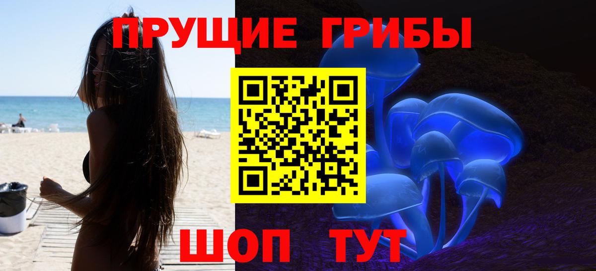 Псилоцибиновые грибы GOLDEN TEACHER  Галлюциногенные грибы мицелий  Вход с VPN  Киселёвск 